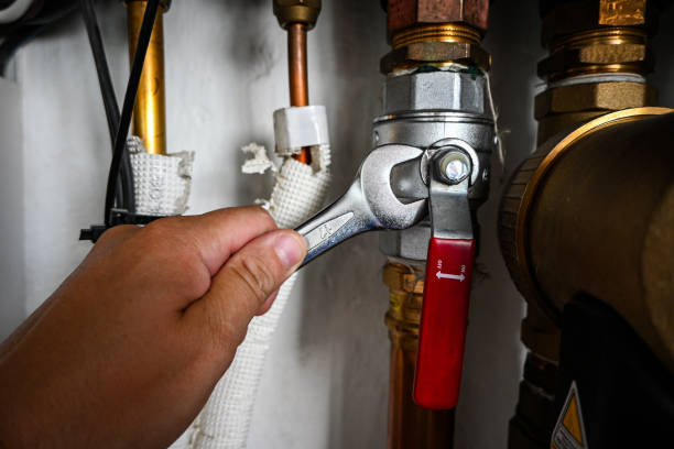 Best Clogged Drain Plumber  in Waelder, TX